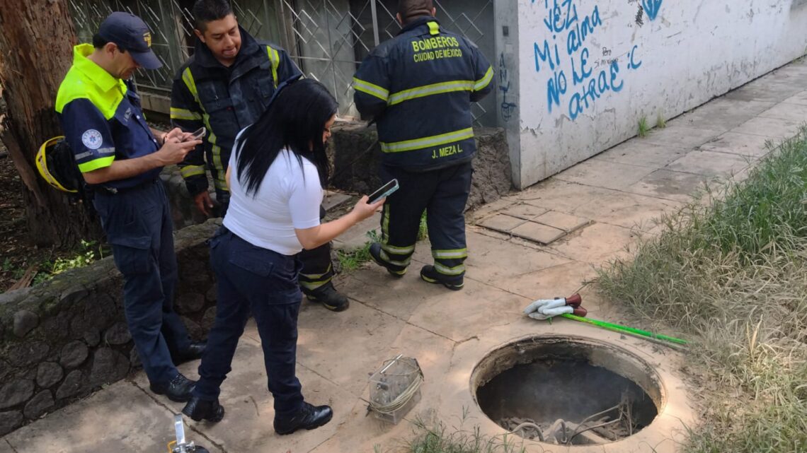 Respuesta rápida en emergencias, bomberos, sofocan incendio